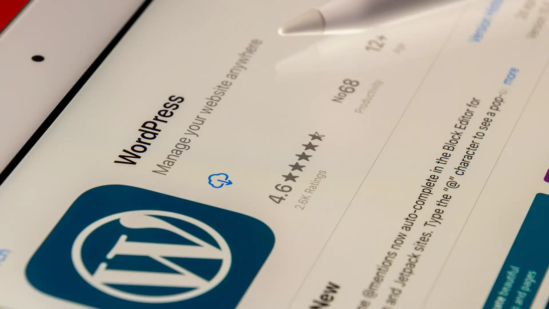 WordPress Webdesign